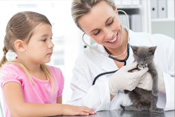 Doctor And Child Examine Kitten